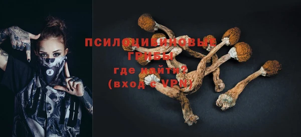 бошки Абинск
