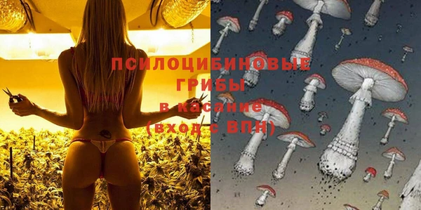 бошки Абаза