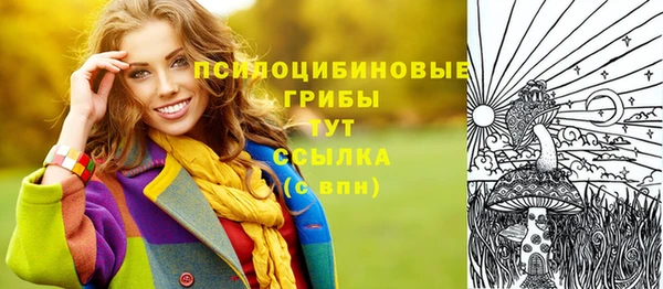 бошки Абинск