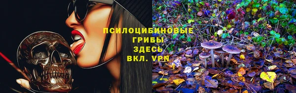 бошки Абаза