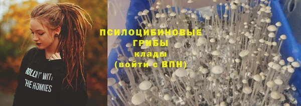 бошки Абаза