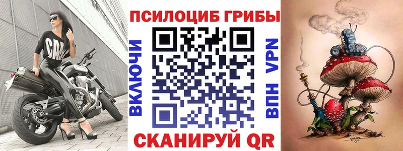 KRAKEN онион  Кумертау  Галлюциногенные грибы мицелий 